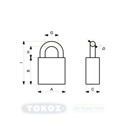 golem-g60-guardgolem-g60-guard