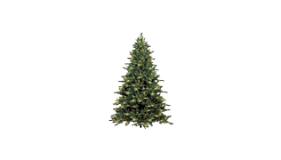 🌲VÁNOCE